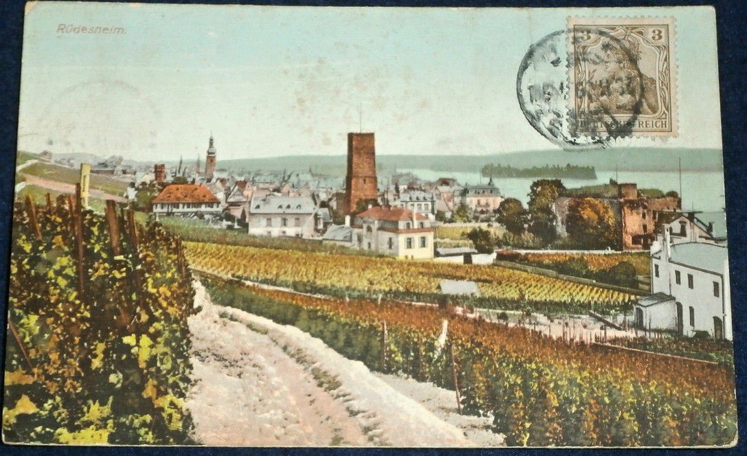 Německo - Rüdesheim vinice 1938
