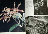 Novák F. A. - Velký obrazový atlas rostlin