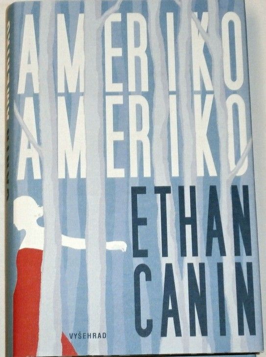 Canin Ethan - Ameriko Ameriko