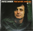 LP Pavel Bobek: Veď mě dál, cesto má