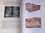 Bol K. G., Bol B. K. - Základy patologickej anatomie domácich zvierat
