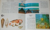 Sacharnov Svjatoslav - Po mořích kolem světa: Dětská námořní encyklopedie