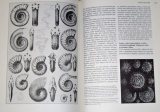 Leakey Richard E. - Darwinův původ druhu v ilustracích