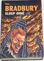 Bradbury Ray - Sloup ohně a jiné příběby