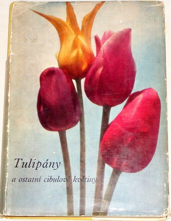 Vaněk Vlastimil - Tulipány a ostatní cibulové květiny