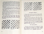 Alster Ladislav - Šachy hra královská