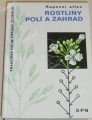 Hron, Zejbrlík - Rostliny polí a zahrad (kapesní atlas)