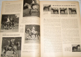 Deutsche Sankt Georg Sportzeitung, č. 2/1934, ročník XXXV