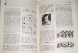 Veselý, Kalendovský, Formánek - Malá encyklopedie šachu