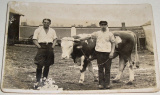 Lounsko: zemědělci (kolem r. 1930)