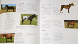 Peplowová Ellizabeth - Encyklopedie koní