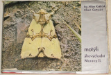 Motýli jihovýchodní Moravy II.