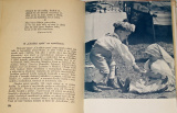 Svačina Rudolf a Jan - Obrázky z Chodska
