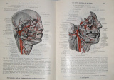 Toldtův anatomický atlas pro studující a lékaře