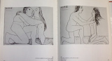 Boudaille Georges - The Drawings of Picasso
