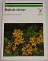 Dostálková Alžběta - Rododendrony