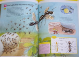 První dětská knihovna: Svět hmyzu