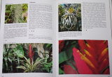 Vermeulen Nico - Encyklopedie pokojových rostlin