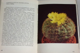 Jelínek Josef - O kaktusech