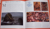 Stormová Rachel - Encyklopedie východní mytologie
