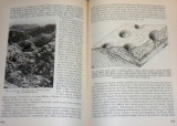 Kettner Radim - Všeobecná geologie část III. Vnější síly geologické, Povrch zemský