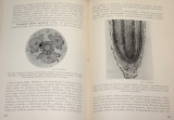 Němec Bohumil - Rostlinopis, svazek II: Nauka o buňce, Anatomie rostlin
