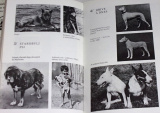 Kholová Helena - Historie psího rodu