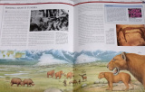 Palmer Douglas - Prehistorický atlas: Vývoj planety Země