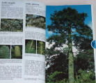 Aas, Riedmiller - Kapesní atlas: Stromy