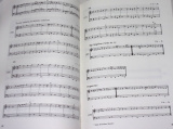 Musicalia Danubiana 5: Tabulatura Vietoris (saeculi XVII)