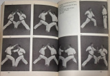 István Adámy - Kyokushin Karate