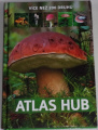 Zarawska Patrycja - Atlas hub