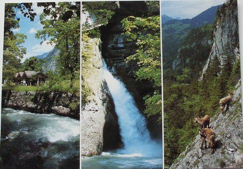 Trümmelbach - Wasserfälle und Steinböcke im Lauterbrunnental
