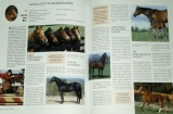 Ottova encyklopedie: Koně a poníci