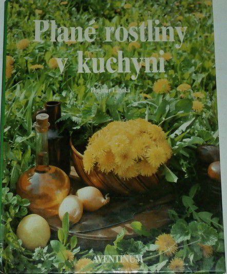 Lánská Dagmar - Plané rostliny v kuchyni 