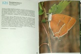 Hrabák Rudolf - Kapesní atlas našich motýlů